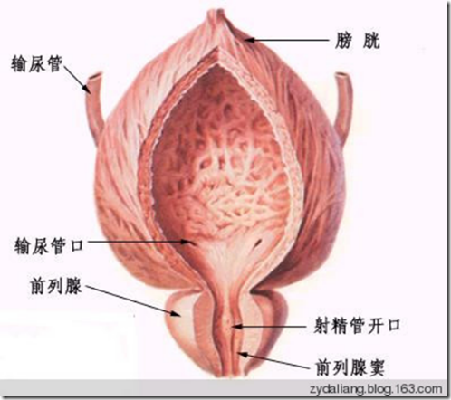 wps6F65.tmp