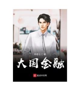 《大国金融》（校对版全本）作者：辛老七.epub