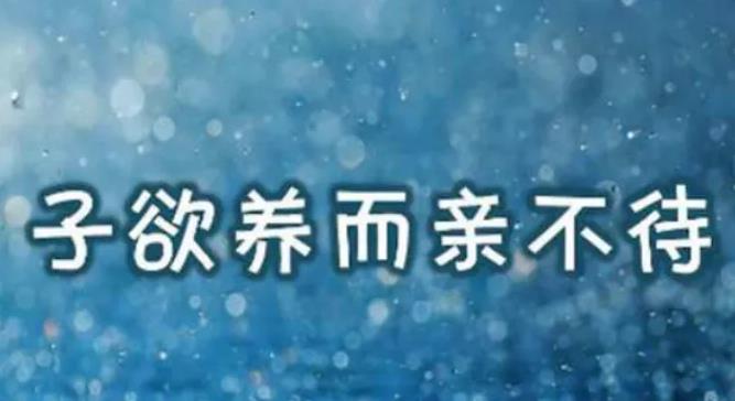 古代小知——吃饭与养亲