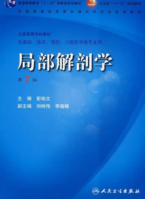 常用局部解剖图解手册——009).pdf