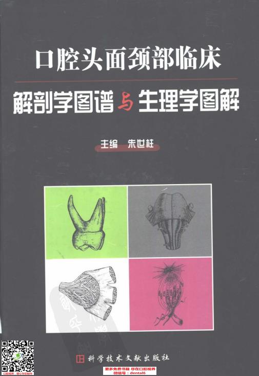 口腔头面颈部临床解剖学图谱与生理学图解-026.pdf