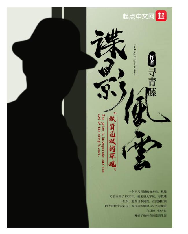 谍影风云.epub