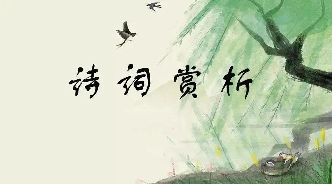 诗词赏析（八）